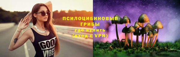 таблы Богородск