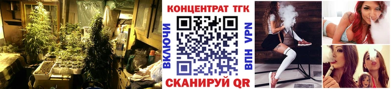 ТГК THC oil  цена   Туран 